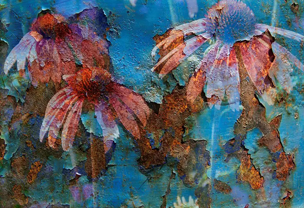 Rustic Flowers - Digital Image